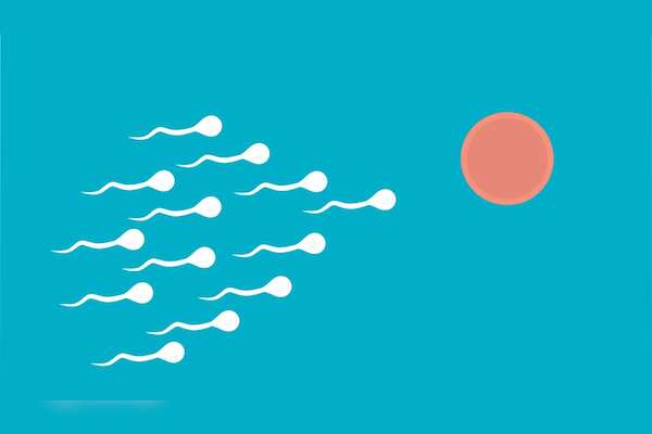 Understanding Male Fertility: Factors, Lifestyle Changes, and Importance in Conception