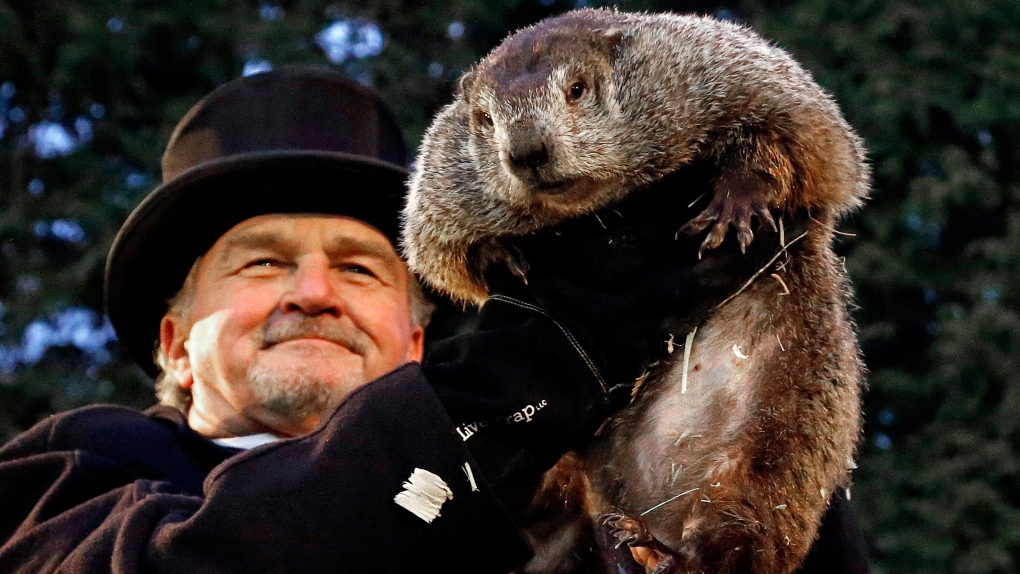 Punxsutawney Phil and Phyliss Welcome Two New Additions to Their Family