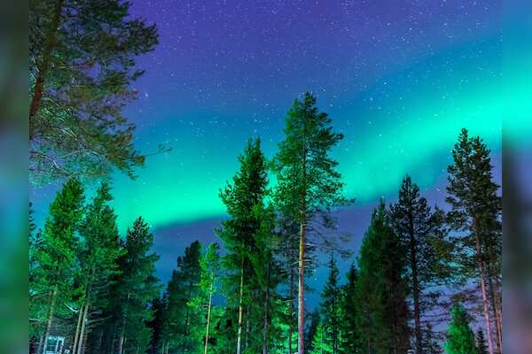 Sunday's Stunning Northern Lights Display Across North America and Europe