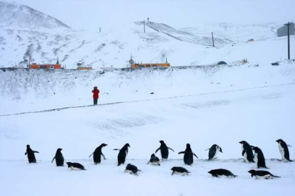 Surprising Link Found Between Reduced Sea Ice and Increased Snowfall in Antarctica: Implications for Global Sea Levels